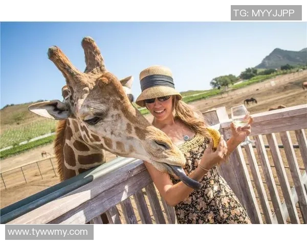 女星追星足球明星背后的故事与他们的浪漫关系揭秘